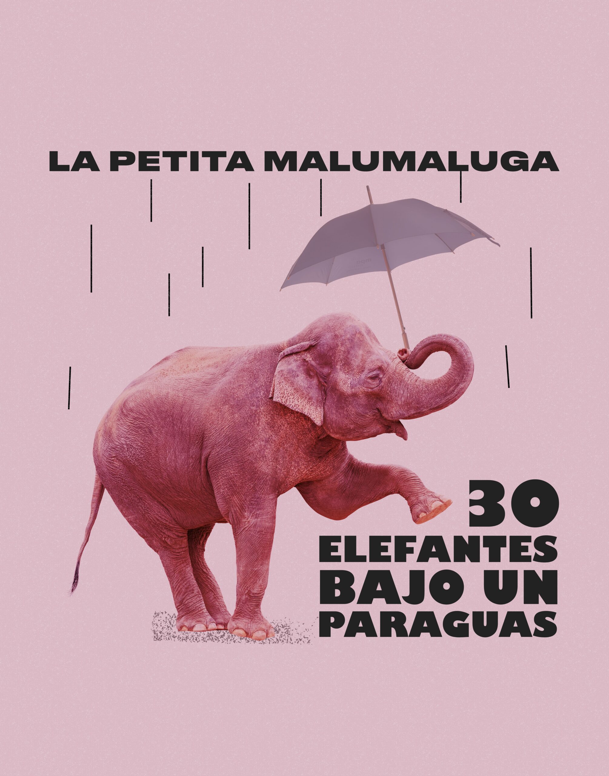 30 elefantes bajo un paraguas, espectáculo para bebés y primera infancia con música, objetos, imaginación y una puesta en escena poética.